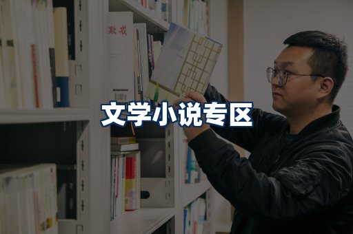 文学小说PDF展示